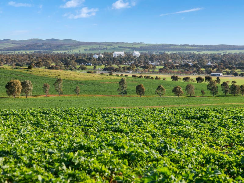 Área rural no Paraná